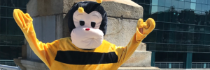 9 Things You May Not Know About Mobee and Bobby the Bee! 