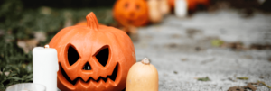 Mobee Insights: How are the Mobee Bees Celebrating Halloween 2018?