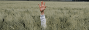 How Can You Help the Brands You Love?