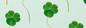 5 Surprising Fun Facts about St. Patrick’s Day